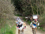 gal/2010/03 - La Via delle Miniere 2010/Sul poggetto al primo passaggio/_thb_Immagine-032.jpg